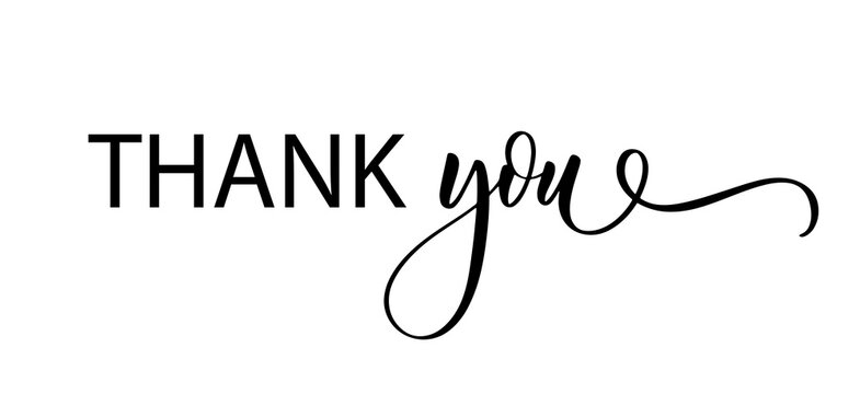 Thank you. Wavy elegant calligraphy spelling for decor
