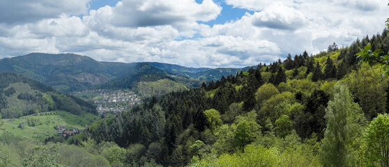 Fototapeta na wymiar Wanderung im Schwarzwald