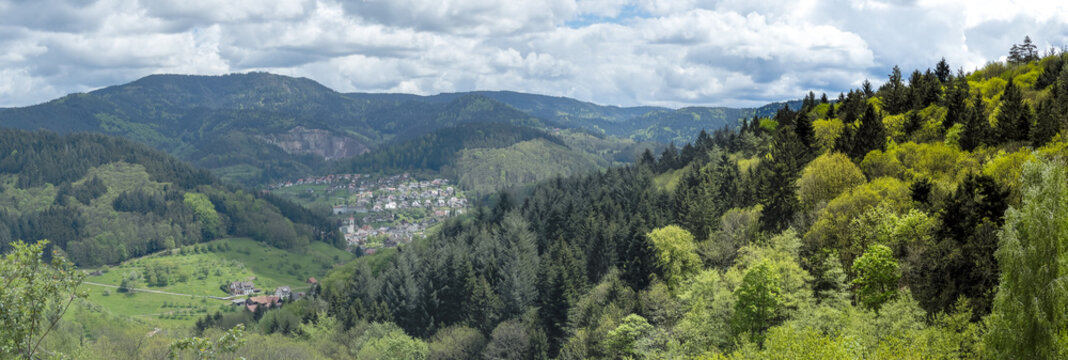 Wanderung im Schwarzwald