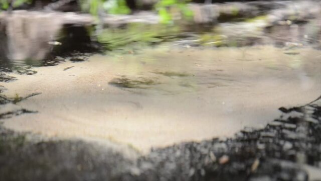 Abstract view of drinkable erupting fresh water source in nature. Natural crystal clear water comes from underground and makes the sand boil. Boiling sand pure water stream in nature