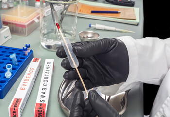 Fototapeta premium Police expert extracts traces of blood in a swab for analysis in the laboratory scientist, conceptual image