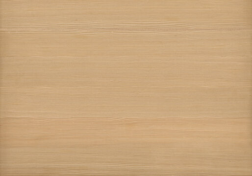 Bleached teak wood texture seamless high resolution