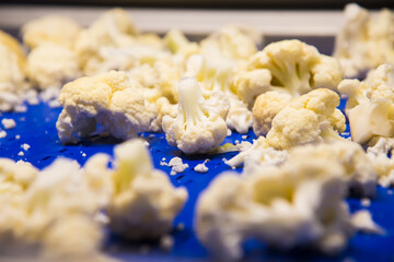 Cauliflower is cleaned, washed, dried and frozen for further storage