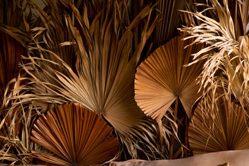 palm branches in the decor for house