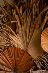 palm branches in the decor for house