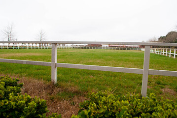 Levada paddock for walking and training horses. Manege, show jumping for horse training. Green and...
