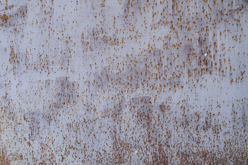 Painted in white old cracked metal rusted background. Metal rust texture. Erosion metal. Scratched and dirty texture on outdoor rusted metal wall.