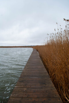 The image of a narrow wooden bridge leading to the lake and reeds. Long and narrow bridge with reeds on the right