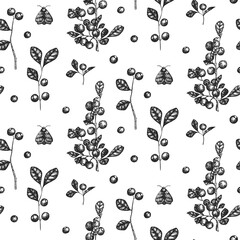 Graphic drawn butterfly, bushes and blueberries. Vector seamless pattern. Hand drawn vector background for invitation, fabric, decor.