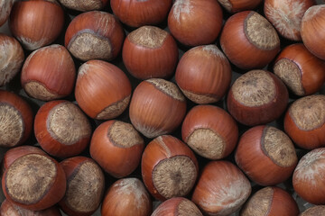 hazelnuts close up top view, hazelnuts background