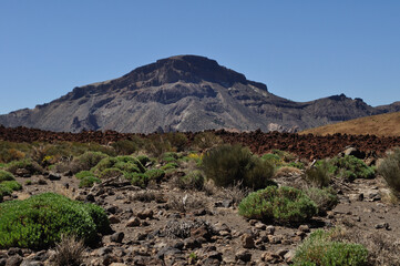 The Alto de Guajara dominates the valley of the Siete Cañadas