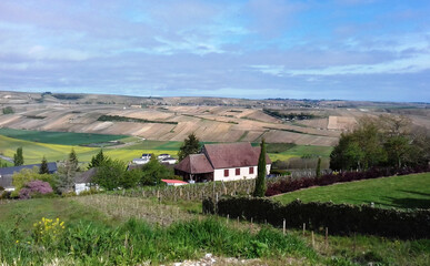 Vignoble de Sancerre dans le département du Cher dans le centre France