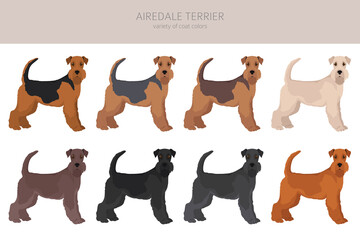 Airedale terrier all colours clipart. Different coat colors set.