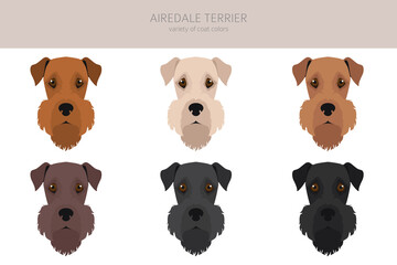 Airedale terrier all colours clipart. Different coat colors set.
