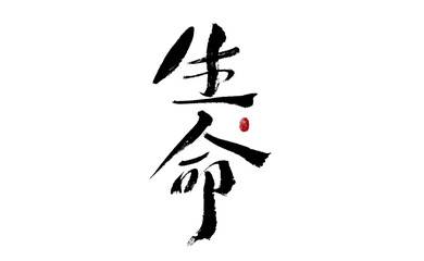 Chinese character "life" handwritten calligraphy font