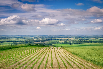 Fototapeta na wymiar Lincolnshire from The Wolds