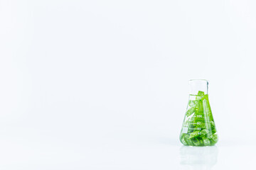 Aloe vera essential oil on tropical leaves background,Fresh Aloe vera sliced with plant and water droplets isolated on white background.