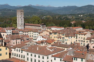 Cityscape with rooftops of Lucca town from Torre Ginigi tower. Tuscany central Italy