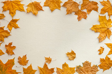 Naklejka na ściany i meble border frame of colorful maple autumn leaves on white