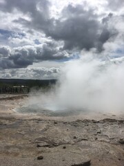 geyser in park national park