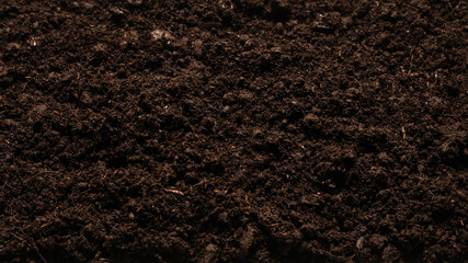 Black land for plant background.