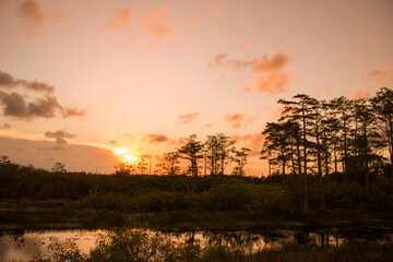 Giant orange sun sets behind the bayou of a cypress swamp and reflects in the river