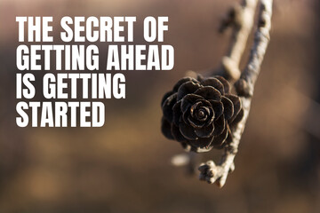 The secret of getting ahead is getting started