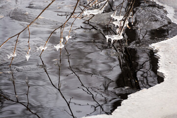 gałązki pokryte lodem nad rzeką - obrazy, fototapety, plakaty