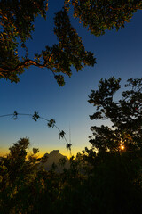 Silhouette of the tropical vegetation and the Pedra da G&aacute;vea during sunset on the top of Morro Dois Irm&atilde;os, Rio de Janeiro, Brazil