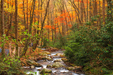 Smith Creek flowing from Anna Ruby Falls, Georgia, USA - obrazy, fototapety, plakaty