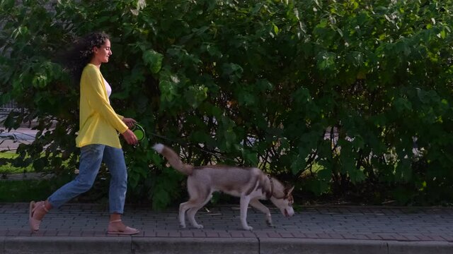 pretty woman and her husky dog are walking at morning