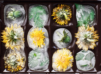 yellow dandelion flowers and green grass are frozen in ice in a candy mold