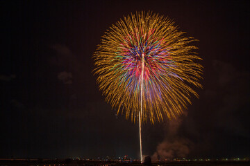 fireworks in the sky