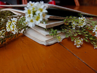 flowers lie in the book, the book lies on the brown boards. High quality photo