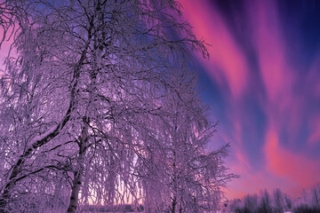 Paysage magique depuis Ivalo, petite ville du nord de la Laponie finlandaise