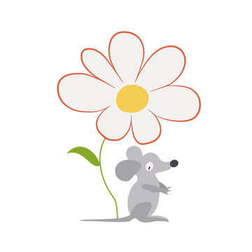 Gray mouse and chamomile. White daisy flower with a yellow center. Cartoon character, funny forest animal, field mouse. Summer nature. Hand-drawn vector. Design element for illustrations, baby fabric.