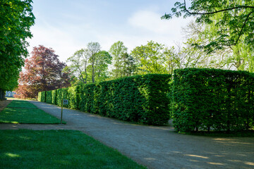 Schloss und Park Pillnitz