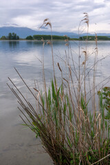 Fotografia verticale di un panorama naturale di un lago di montagna. Un paesaggio con il cielo azzurro e l'erba verde.