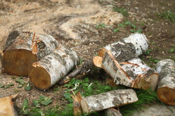 stack of firewood