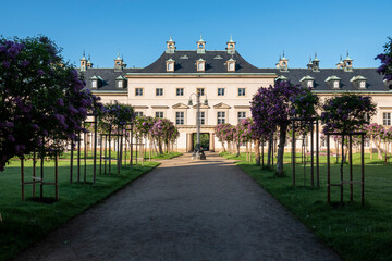 Fototapeta premium Schloss und Park Pillnitz