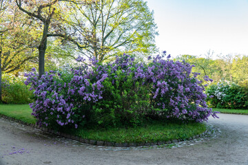 Schloss und Park Pillnitz