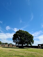 Oldest tree of the Jesuit Missions of La Santísima Trinidad de Paraná and Jesús de Tavarangue - Paraguay