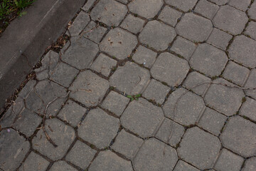 Une rue pavée, les pavés sont gris et de la mousse pousse entre eux.