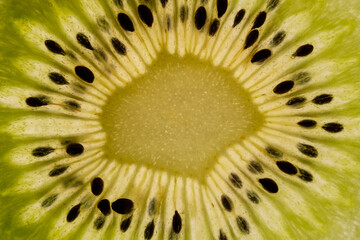 Extreme close-up of a kiwi fruit