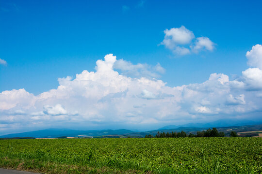 北海道の景色images Browse 30 Stock Photos Vectors And Video Adobe Stock