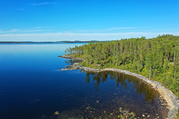 summer forest top view drone, background green trees panorama landscape