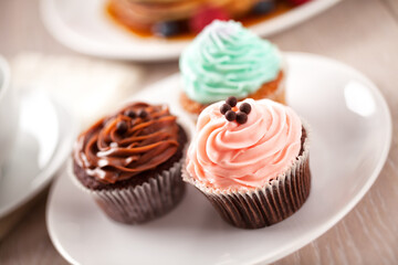 Selection of Colored Cupcakes on a Plate. High quality photo.