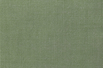 Fabric texture canvas. Cotton background. Detail close up for dress or other modern fashion textile print. Green textured design.