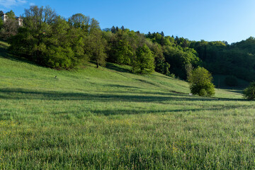 Paysage du Parc Naturel Régional des Bauges en Savoie en France dans les montagnes des Alpes