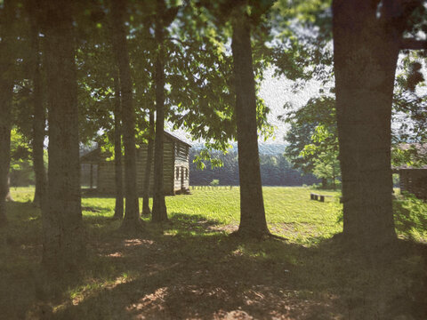 Log Cabin in the Woods
